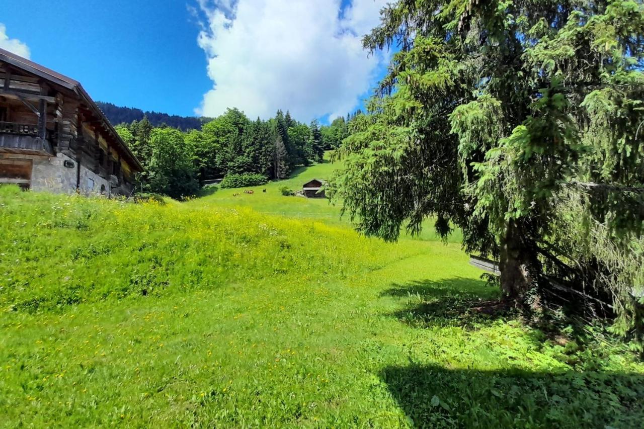Apartment On The Slopes La Clusaz Exterior photo